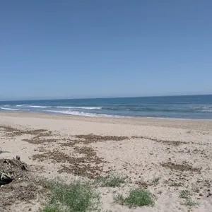 Бунгало в регион Валенсия, фото 2