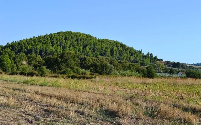 Земельный участок в Kassandra Municipality