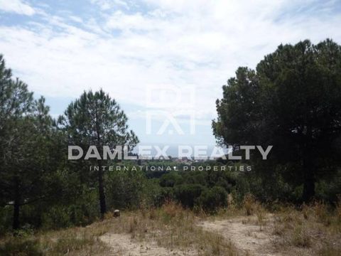 Земельный участок в Алелья