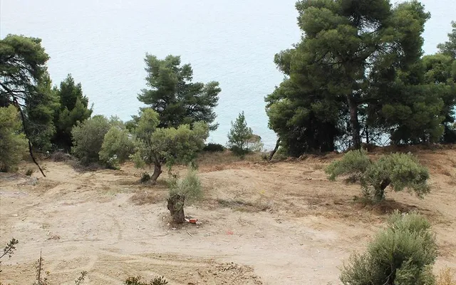 Земельный участок в Kassandra Municipality