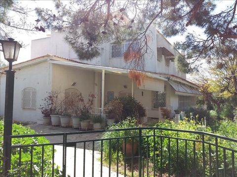 Коттедж в Афины