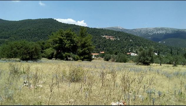 Земельный участок в Вилия