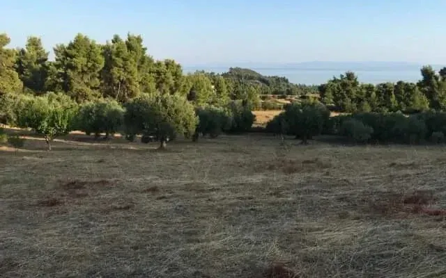Земельный участок в Kassandra Municipality