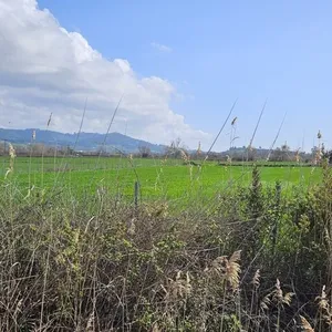 Земельный участок в Kassandra Municipality, фото 5