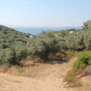 Земельный участок в Aristotle University of Thessaloniki, фото 5