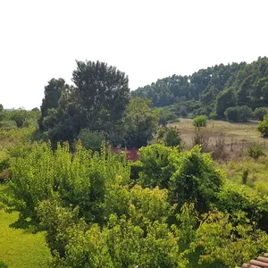 Отдельный дом в Kassandra Municipality, фото 4