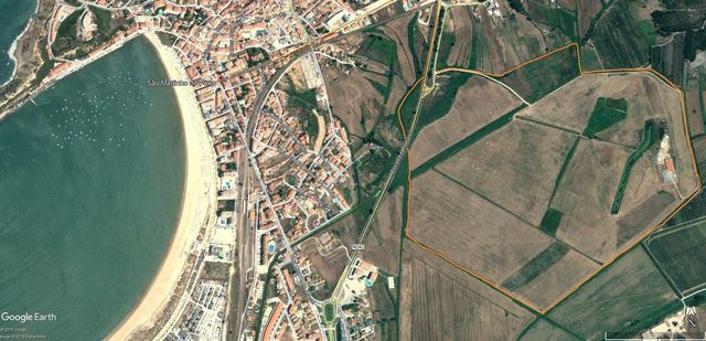 Ферма в Сан-Мартинью-ду-Порту