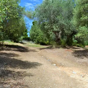 Земельный участок в Kassandra Municipality, фото 3