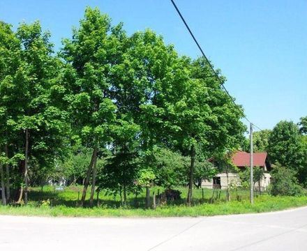 Инвестиции в Старая Рига