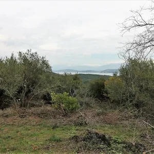 Земельный участок в Corfu, фото 2