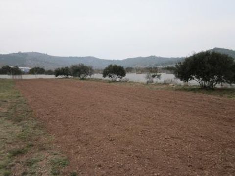 Земельный участок в Трибунь