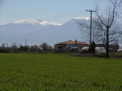 Земельный участок в Катерини