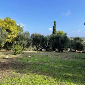 Земельный участок в Corfu, фото 3