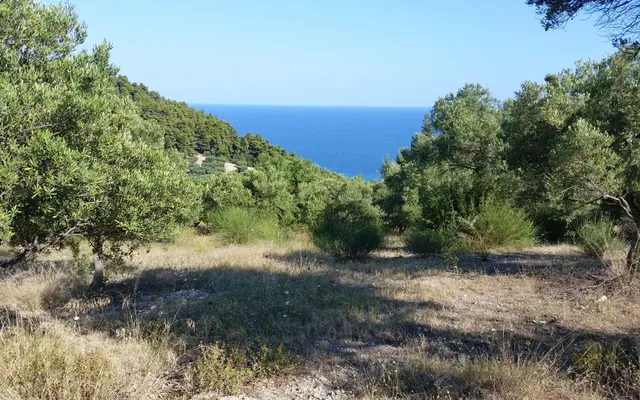 Земельный участок в Kassandra Municipality
