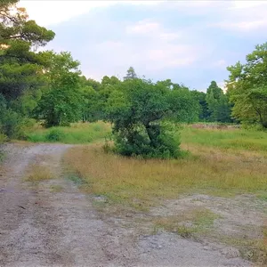 Земельный участок в Ситониа, фото 2