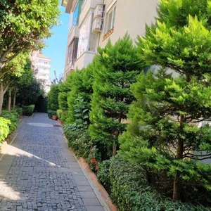 Квартира в Оба Махаллеси, фото 5