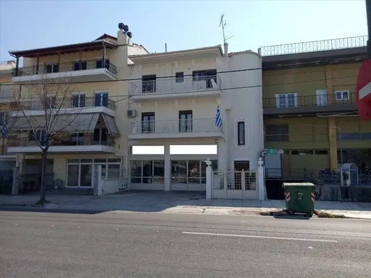Коммерческая недвижимость в Лариса