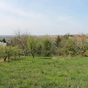 Отдельный дом в Кестхей, фото 4