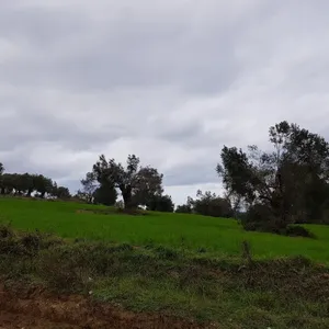 Земельный участок в Kassandra Municipality, фото 3