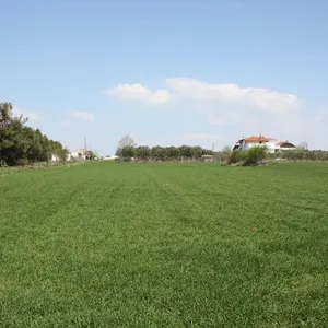 Земельный участок в Νέα Μηχανιώνα, фото 2