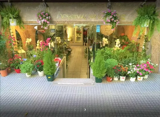 Коммерческая недвижимость в European Centre for the Development of Vocational Training