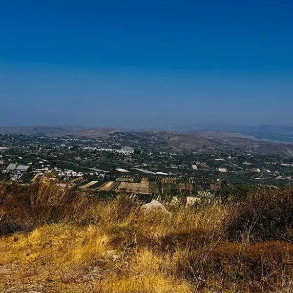 Земельный участок в Арханес, фото 1