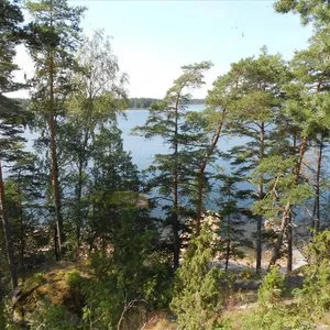 Коттедж в Хамина, фото 5