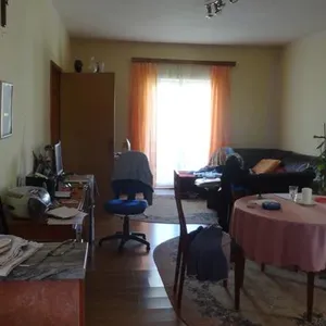 Отдельный дом в Фажана, фото 3