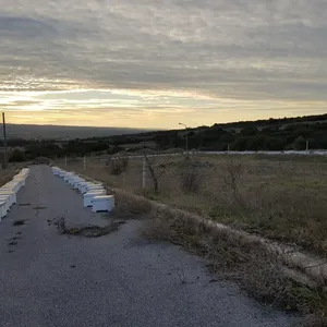 Земельный участок в Терми, фото 5