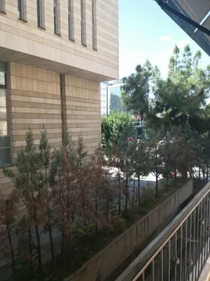 Коммерческая недвижимость в Neos Kosmos