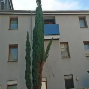 Доходный дом в Крефельд, фото 2
