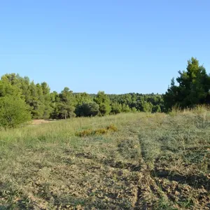 Земельный участок в Kassandra Municipality, фото 3
