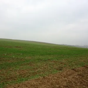 Земельный участок в Микра, фото 3