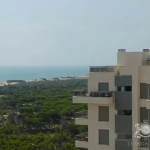 Квартира в Аликанте, фото 3