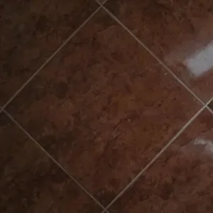 Студия в Солнечный берег, фото 2
