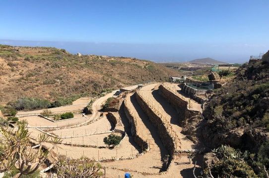 Земельный участок в Гранадилья де Абона