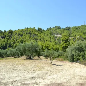 Земельный участок в Kassandra Municipality, фото 3