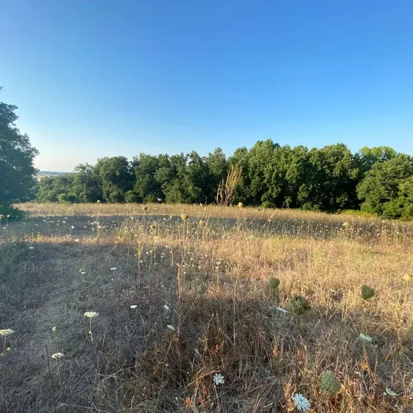 Земельный участок в Kassandra Municipality, фото 1