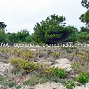 Земельный участок в Вир, фото 4