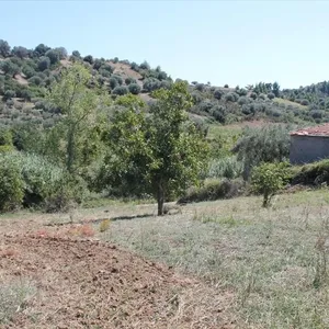 Земельный участок в Kassandra Municipality, фото 3