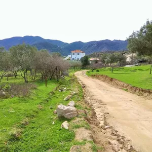 Земельный участок в Ситониа, фото 3