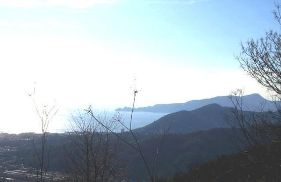 Земельный участок в Сестри-Леванте