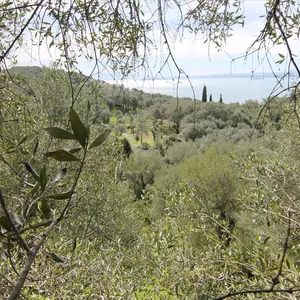 Земельный участок в Corfu, фото 3