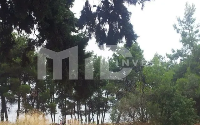 Земельный участок в Полигирос