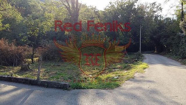 Квартира в Моринь