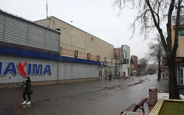 Коммерческая недвижимость в Паланга