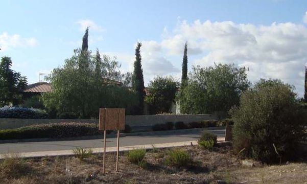 Земельный участок в Пафос