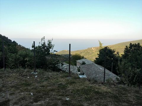 Земельный участок в Воли