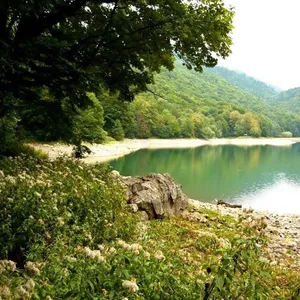 Земельный участок в Добра Вода, фото 4