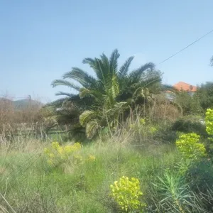 Земельный участок в Брук, фото 2